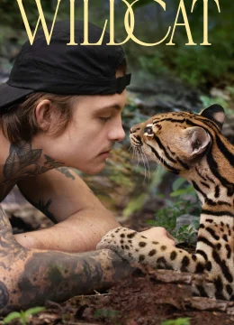 Xem Phim Mèo Hoang Thuyết Minh Online