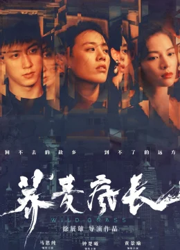 Xem Phim Mùa Hoa Kiều Mạch Thuyết Minh Online