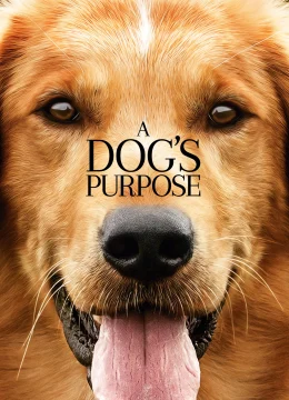 Xem Phim Mục Đích Sống Của Một Chú Chó Thuyết Minh Online