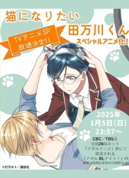 Xem Phim Neko ni Naritai Tamagawa-kun Thuyết Minh Online