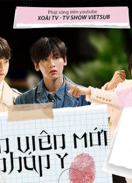 Xem Phim Nhân Viên Mới Thuyết Minh Online