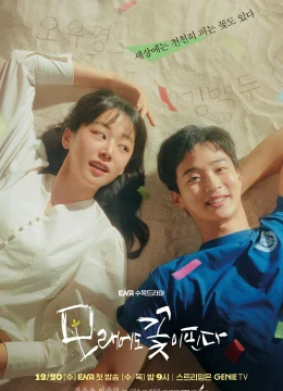 Xem Phim Như Hoa Trên Cát Thuyết Minh Online