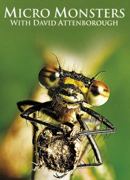 Xem Phim Những Quái Vật Tý Hon Thuyết Minh Online