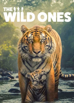 Xem Phim Những Sinh Vật Hoang Dã Thuyết Minh Online