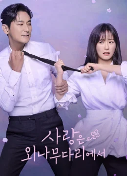 Xem Phim Phải Lòng Oan Gia Thuyết Minh Online