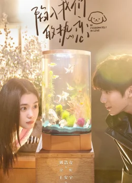 Xem Phim Sa Vào Tình Yêu Cuồng Nhiệt Của Chúng Ta Thuyết Minh Online