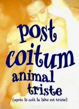 Xem Phim Sau Đêm Nồng Cháy Thuyết Minh Online