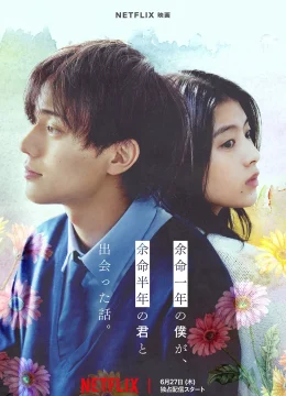 Xem Phim Sáu Tháng Và Một Năm Thuyết Minh Online