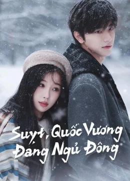 Xem Phim Suỵt, Quốc Vương Đang Ngủ Đông Thuyết Minh Online