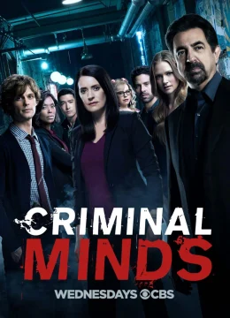 Xem Phim Tâm Lý Tội Phạm (Phần 13) Thuyết Minh Online