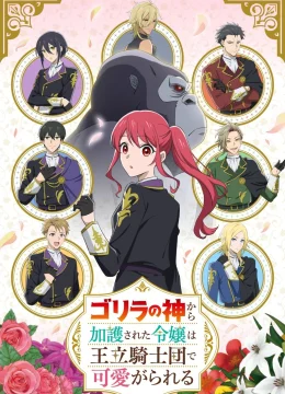 Thánh Nữ Thần Khỉ Đột Gia Nhập Kỵ Sĩ Đoàn