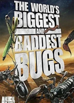 Xem Phim Thế Giới Côn Trùng Khổng Lồ và Nguy Hiểm Thuyết Minh Online