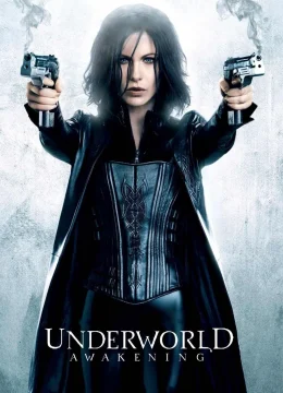 Xem Phim The Gioi Ngam 4: Troi Day Thuyết Minh Online