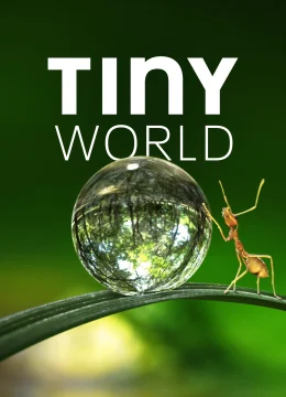 Xem Phim Thế Giới Siêu Nhỏ (Phần 1) Thuyết Minh Online