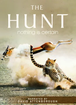 Xem Phim The Hunt Thuyết Minh Online