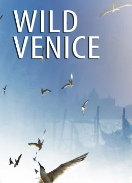 Xem Phim Thiên Nhiên Hoang Dã Venice Thuyết Minh Online