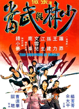 Xem Phim Thiếu Lâm Và Võ Đang Thuyết Minh Online