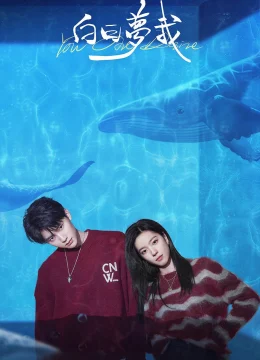 Tôi Mộng Giữa Ban Ngày