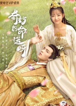 Xem Phim Vận Mệnh Kỳ Diệu Thuyết Minh Online