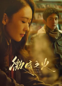 Xem Phim Vi Ám Chi Hoả Thuyết Minh Online