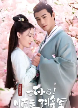 Vô Tình Phải Lòng Tướng Quân (Trộm Phải Tim Chàng)