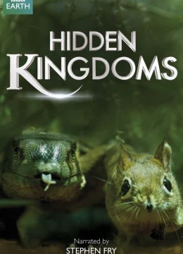 Xem Phim Vương Quốc Bí Ẩn Thuyết Minh Online