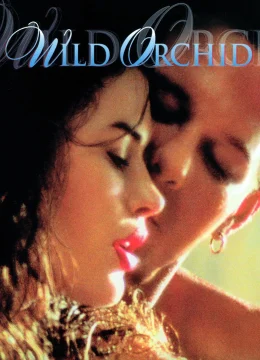 Xem Phim Wild Orchid Thuyết Minh Online