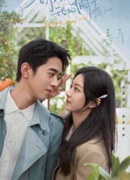 Xem Phim Xin Chào Người Tình Trái Quýt Thuyết Minh Online