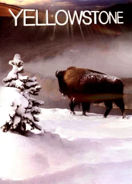 Xem Phim Yellowstone Thuyết Minh Online