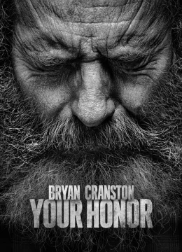 Xem Phim Your Honor (Phần 2) Thuyết Minh Online