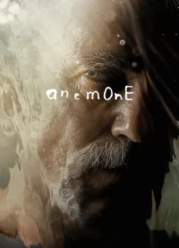Xem Phim Anemone Thuyết Minh Online