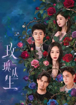 Xem Phim Bụi Hoa Hồng Thuyết Minh Online