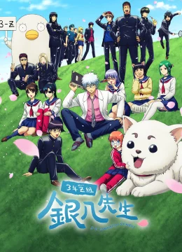 Xem Phim GINTAMA – Thầy Ginpachi Ở Lớp 3-Z Thuyết Minh Online
