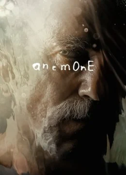 Xem Phim Hải Quỳ Nở Hoa Thuyết Minh Online