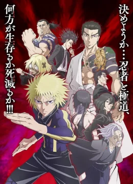 Xem Phim Ninja to Gokudou Thuyết Minh Online