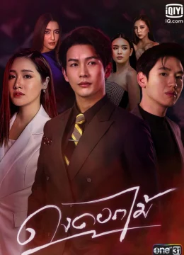 Xem Phim Rừng Hoa Rực Lửa Thuyết Minh Online