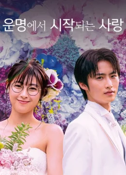 Xem Phim Tôi, Là Định Mệnh Đời Em Thuyết Minh Online