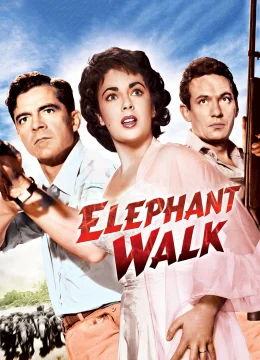 Xem Phim Voi đi bộ Thuyết Minh Online