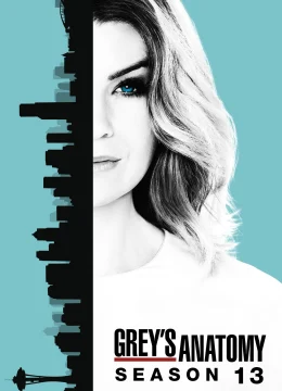 Xem Phim Ca Phẫu Thuật Của Grey (Phần 13) Thuyết Minh Online