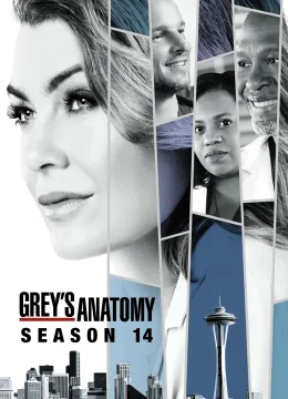 Xem Phim Ca Phẫu Thuật Của Grey (Phần 14) Thuyết Minh Online