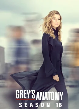 Xem Phim Ca Phẫu Thuật Của Grey (Phần 16) Thuyết Minh Online