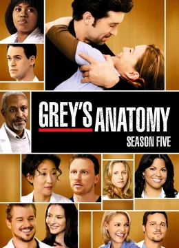 Xem Phim Ca Phẫu Thuật Của Grey (Phần 5) Thuyết Minh Online