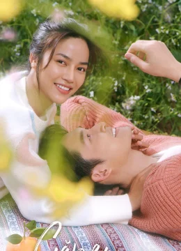 Xem Phim Gặp Em Ngày Nắng Thuyết Minh Online