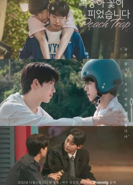 Xem Phim Hoa Đào Nở Thuyết Minh Online