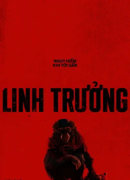 Xem Phim Linh Trưởng Thuyết Minh Online