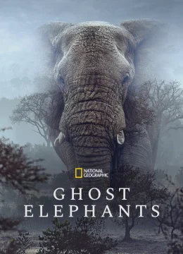 Xem Phim Ghost Elephants Thuyết Minh Online