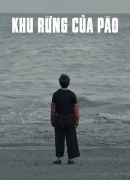 Xem Phim Khu rừng của Páo Thuyết Minh Online