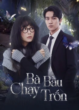 Xem Phim Bà Bầu Chạy Trốn Thuyết Minh Online